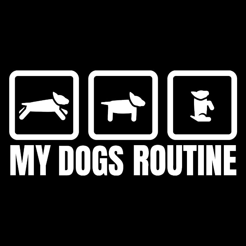 Routine de mes chiens