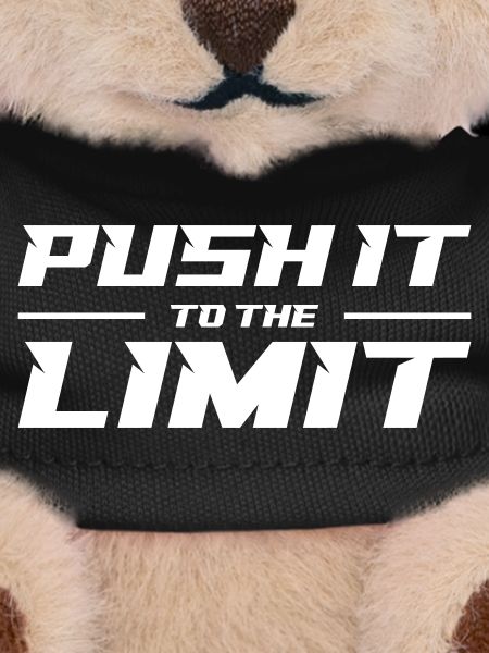Push It To The Limit
