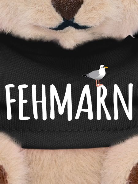 Fehmarn Seagull