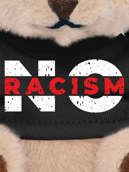 no racism