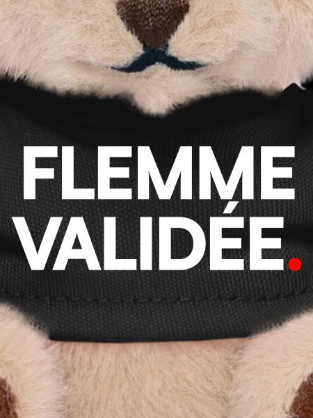 Flemme validée