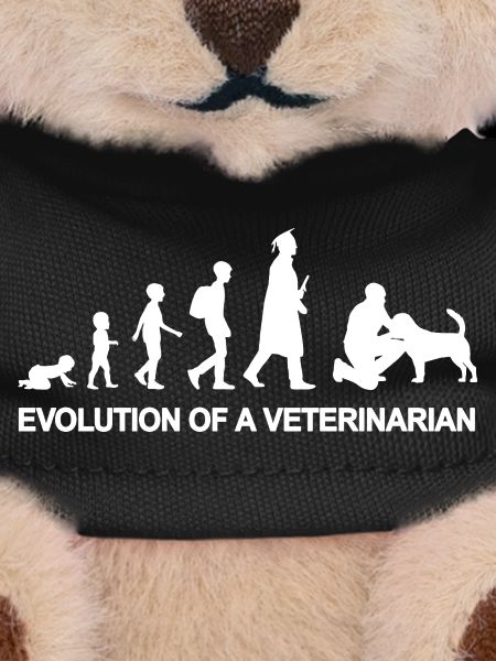Veterinary Development