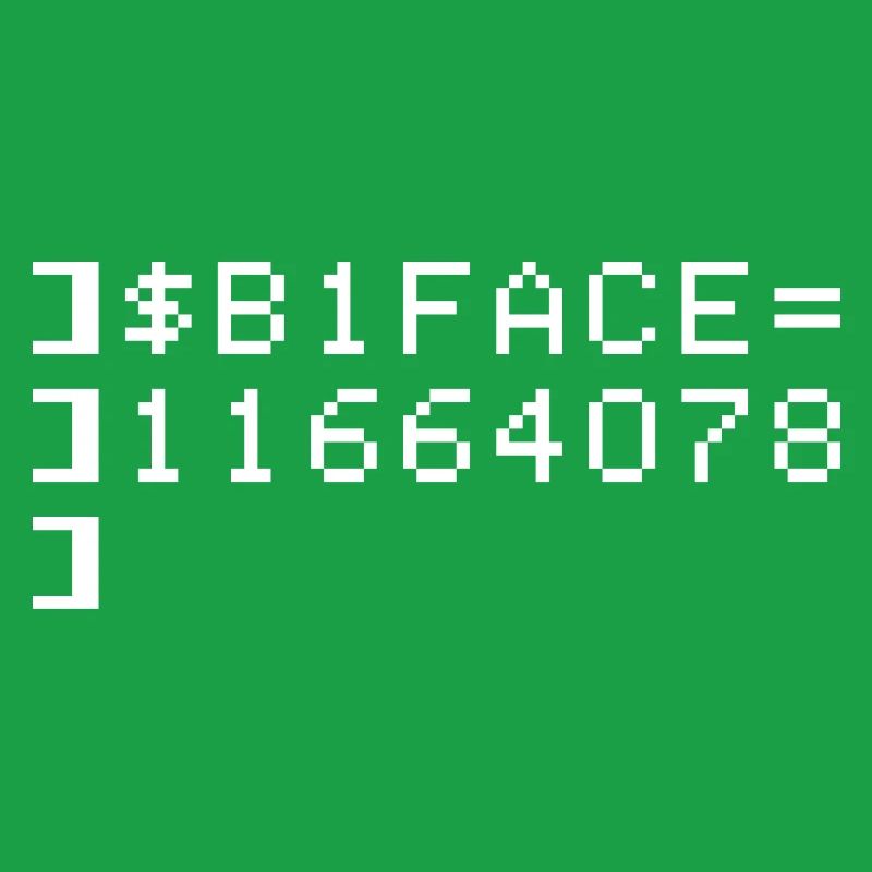 B1FACE Biface Code hexadécimal 8 bit Geek