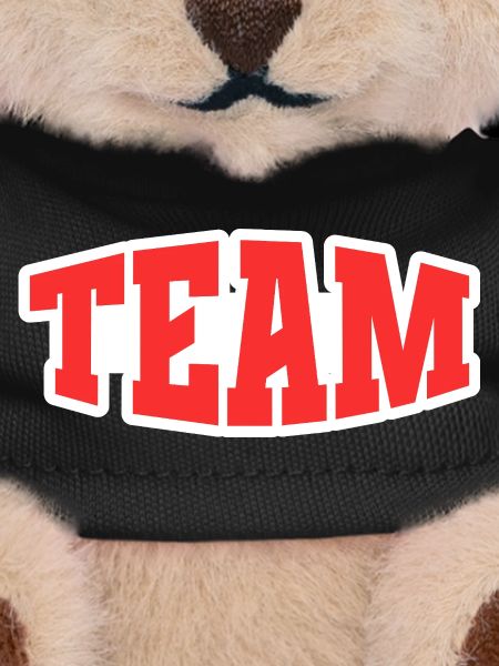 Team