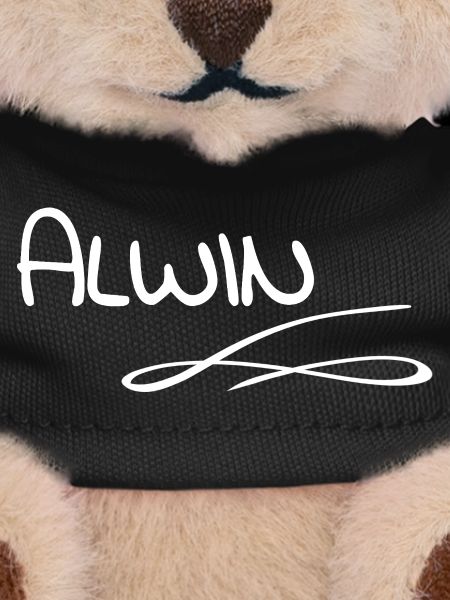Gift for Alwin