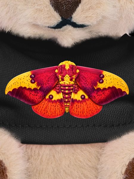 Imperial Moth Eacles imperialis Cartoon-Stil