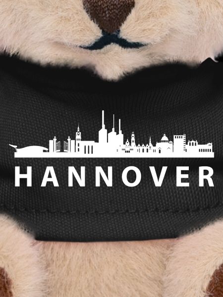 Hanover Skyline Silhouette design