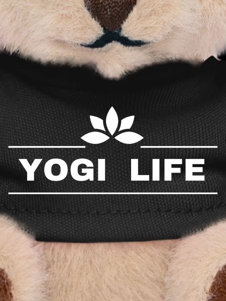 Yogi life