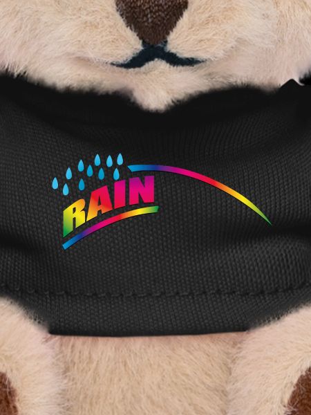 RAINdrops or Rainbow | Rainbow