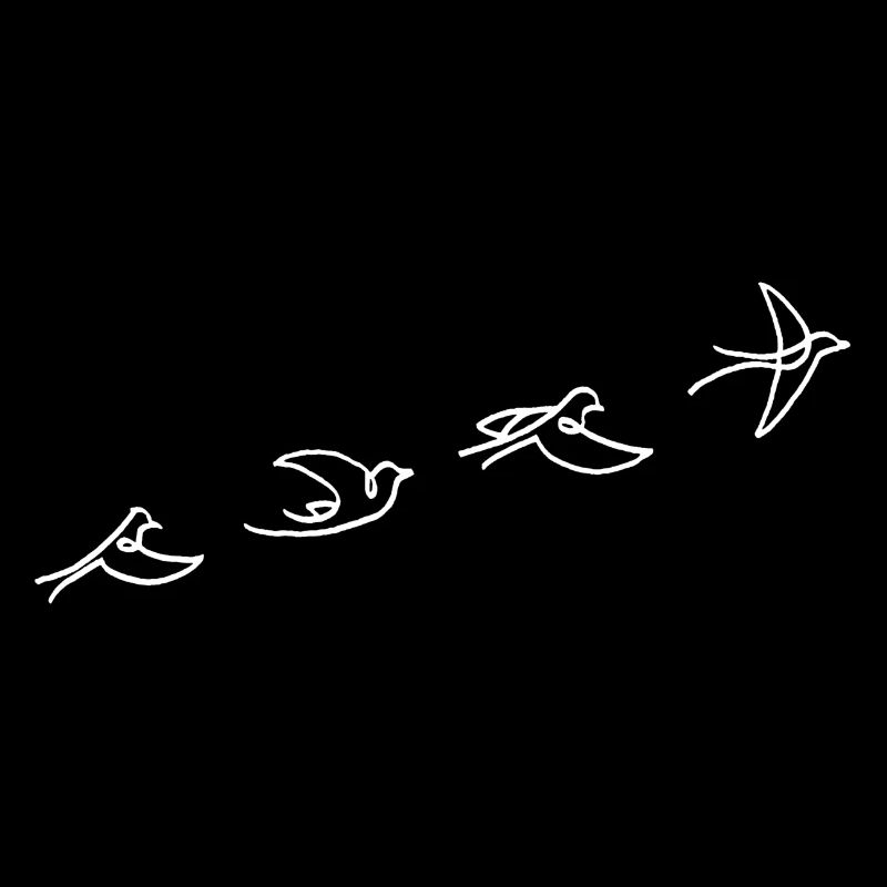 Le vol de l'oiseau blanc
