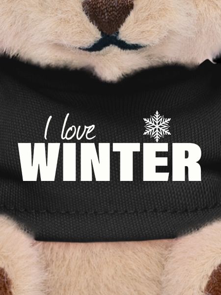 i love winter