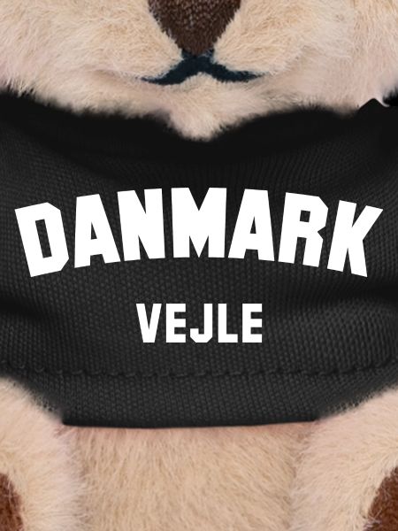 VEJLE, Denmark, Denmark