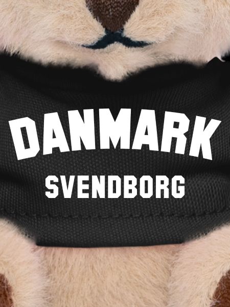 SVENDBORG Denmark Dänemark