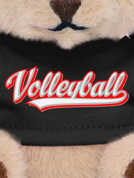 Volley-ball