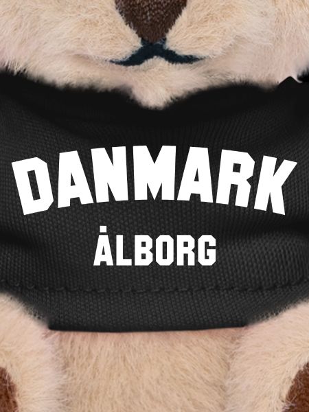 ALBORG Danmark Denmark