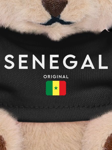 Senegalese flag, Senegalese pride