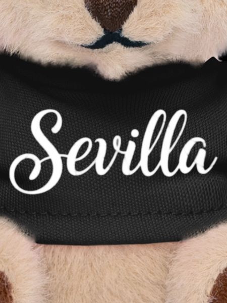 Seville Hand Lettering Script