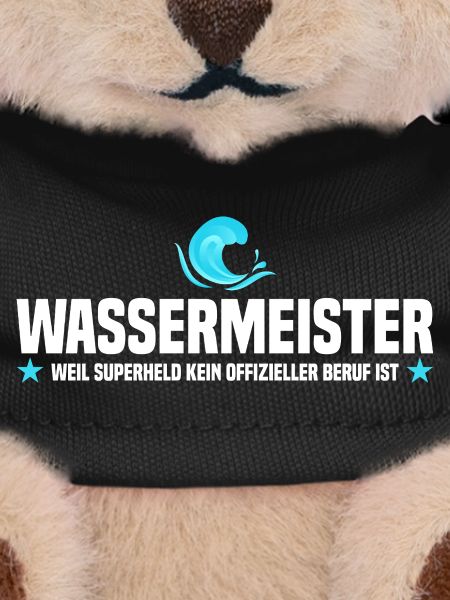Water master saying