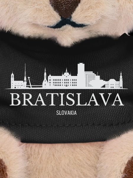 Bratislava Skyline, Bratislava Slovakia