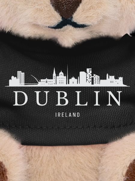 Dublin Skyline, Dublin Ireland