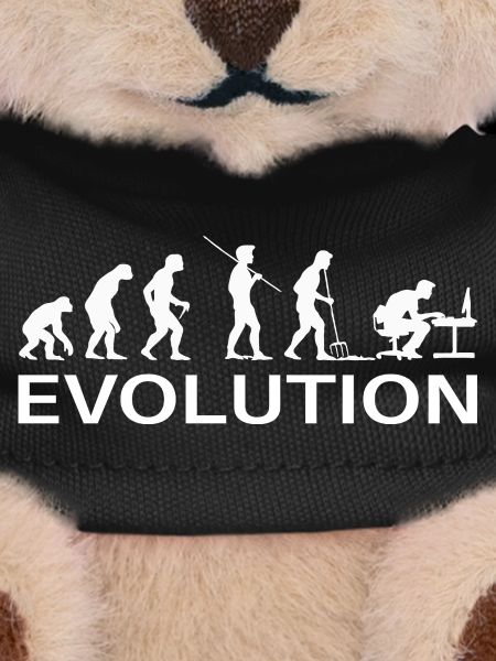 Programmierer Evolution Informatiker Entwickler
