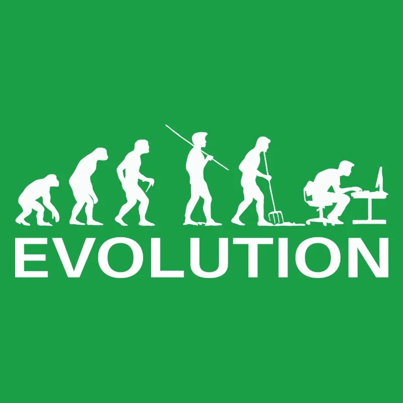 Programmeur Évolution Informaticien Développeur