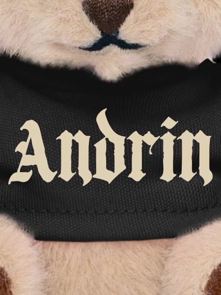 Andrin Gothic Font Print