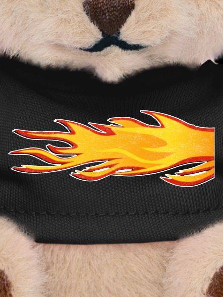 Flame Burning Tail Exhaust