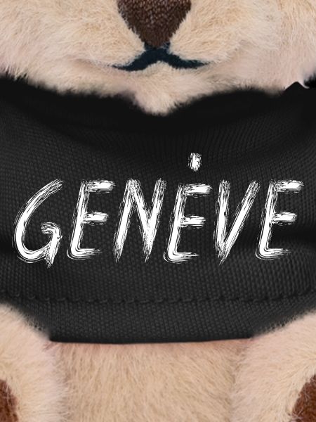 Geneva Stylized Brush Letters