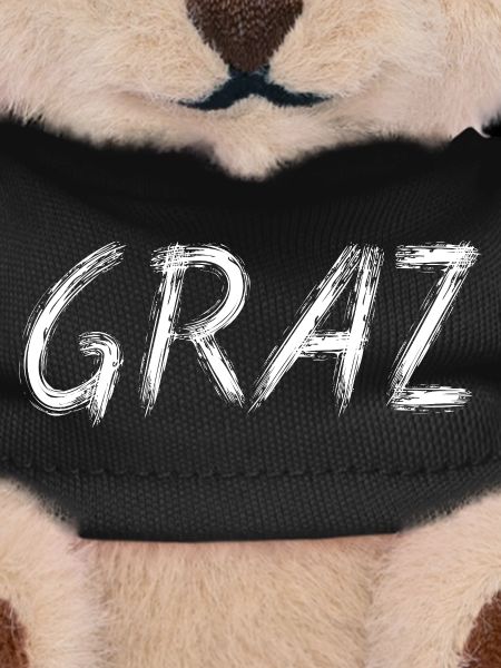 Graz Brush Street Art