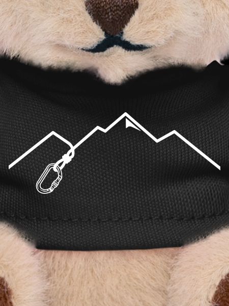 Carabiner Mountains Climbing