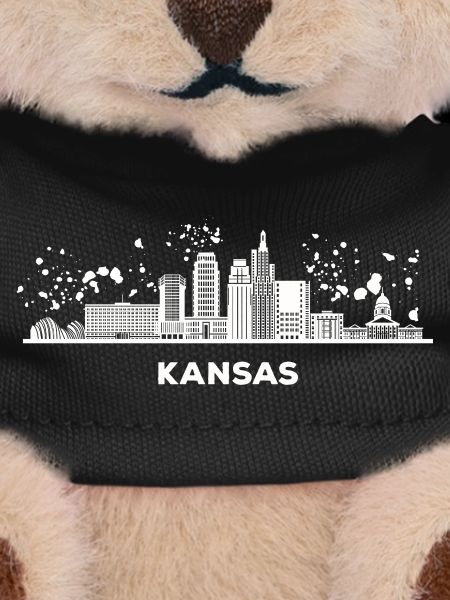 Kansans Skyline Cityscape Kansas
