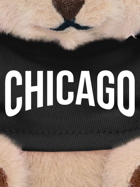 Urban Chicago Design