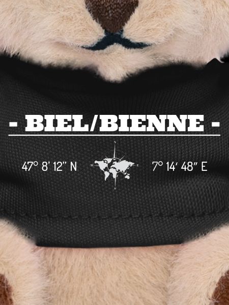 Coordinates Biel/Bienne