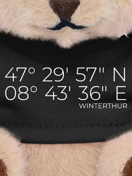 Coordonnées Winterthour