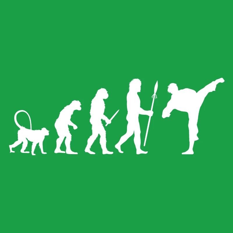 Karate Evolution