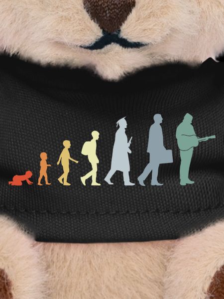 Gitarrist Evolution