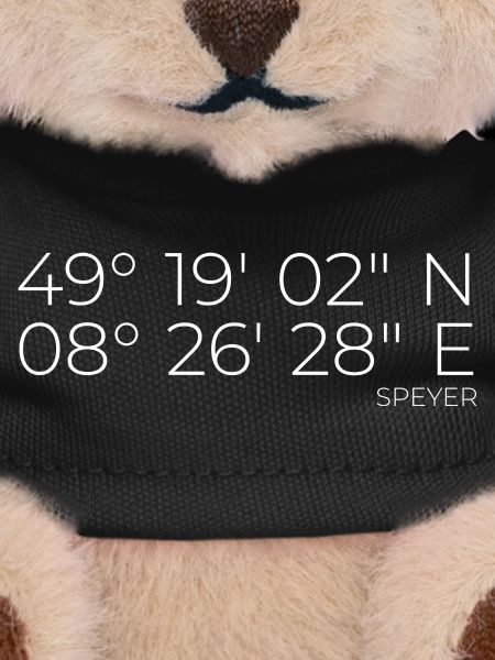 coordinates Speyer