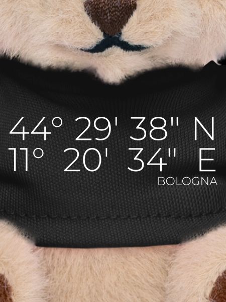 Coordonnées : Bologne, Italie