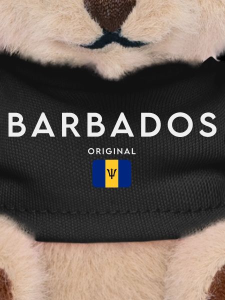Flag of Barbados, Barbadian pride