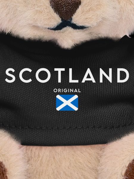 Flag of Scotland, Scottish pride