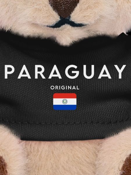 Paraguayan flag, Paraguayan pride