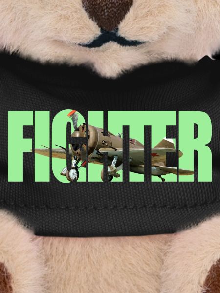 Fighter I-16