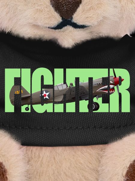 Fighter P-40 Warhawk