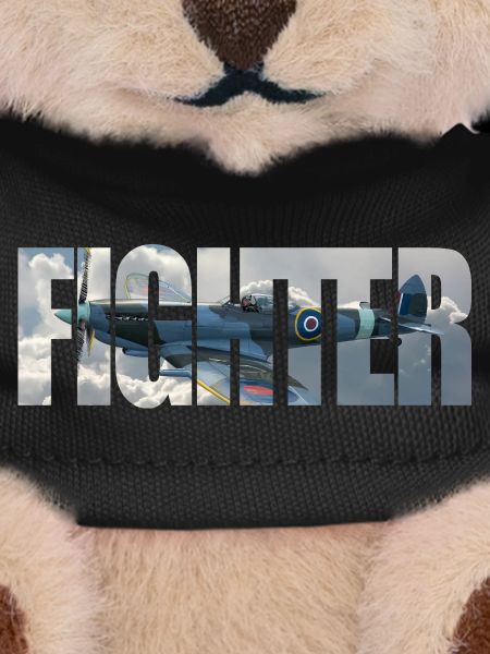 Fighter Spitfire