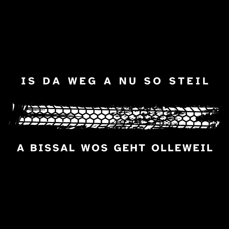 is da Weg a nu so steil a bissal wos geht olleweil