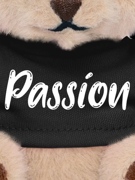 Passion Passion Vision Dreams