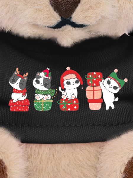 Chat à Noël