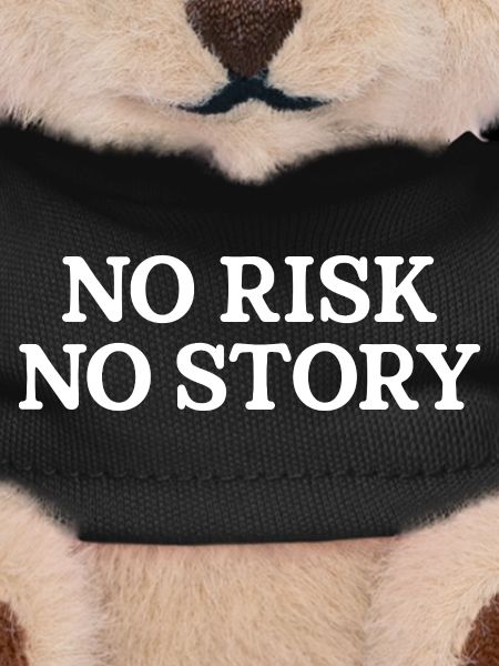 No Risk No Story