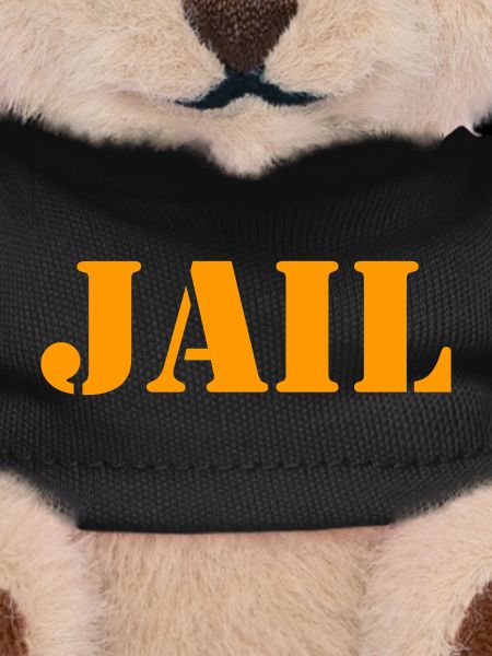 County Jail - Jail - Jail - Prisoner